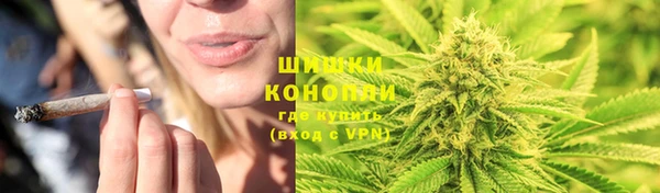 дмт Переславль-Залесский
