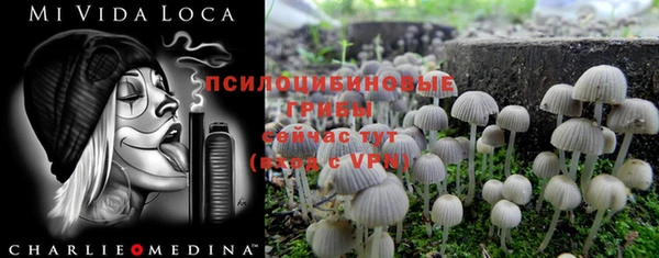 дмт Переславль-Залесский