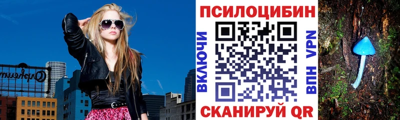 Псилоцибиновые грибы Magic Shrooms  Александровск 